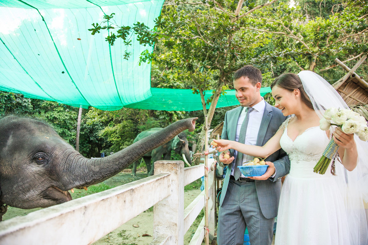 trouwen_in_een_dierenpark