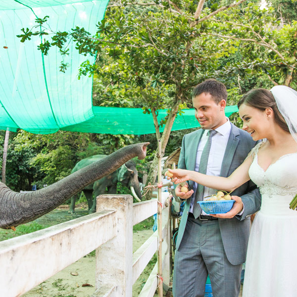 Trouwen in een dierenpark, een bruiloft met een wilde twist