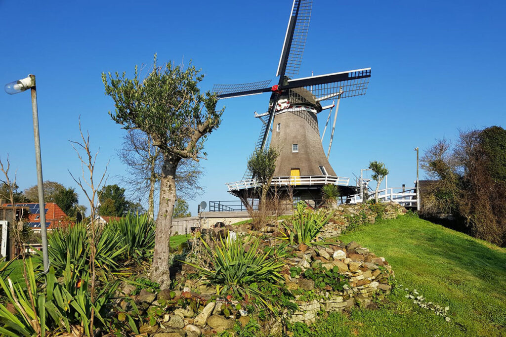 Molen de Korenaar